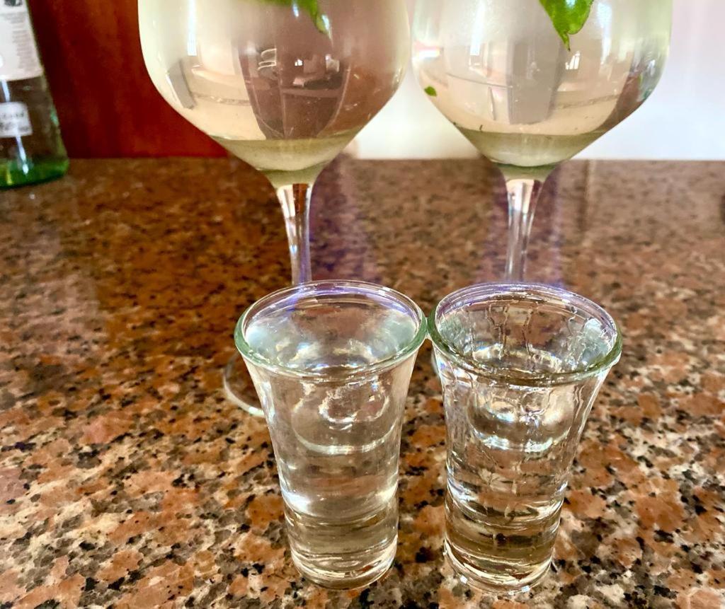 Casa Nomada Puyo Bed & Breakfast Dış mekan fotoğraf